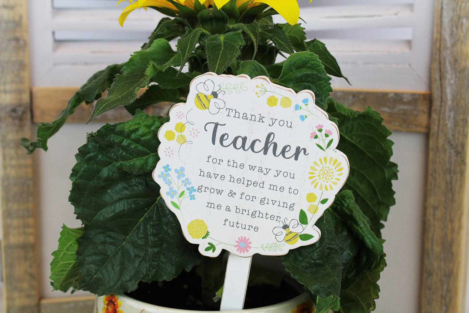 Teacher's Plant Stick