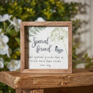 Special Friend Wooden Plaque