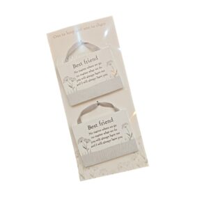 Best Friend Hanging Plaque Set – 2 Piece Gift Set