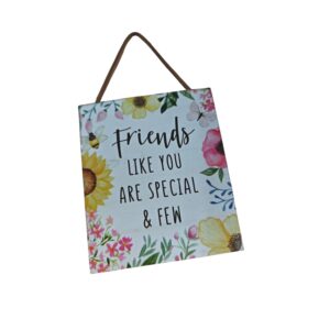 Friends Like You Are Special & Few - Hanging Plaque