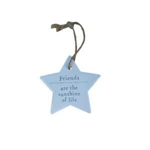 Friends Are the Sunshine of Life Ceramic Star Hanging Plaque